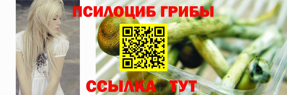 Галлюциногенные грибы мицелий  Вход с VPN  Ялуторовск 